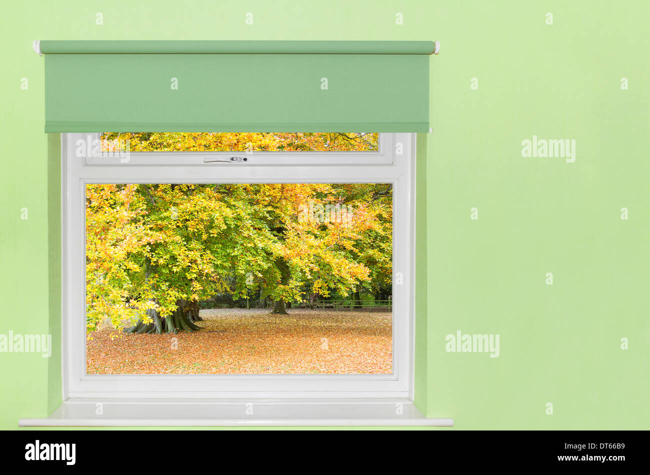 Blick auf Herbst Bäume aus Fenster Stockfoto