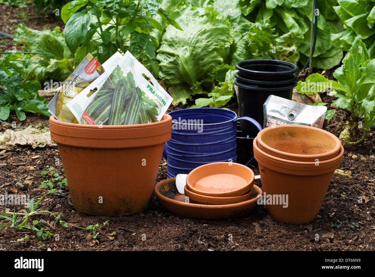 Pflanzen Töpfe bereit für Gemüsesamen in den Garten gepflanzt werden. Stockfoto