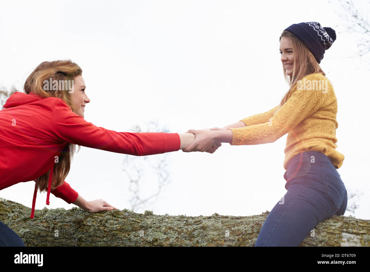 Mädchen im Teenageralter spielen kämpfen am Baumstamm Stockfoto