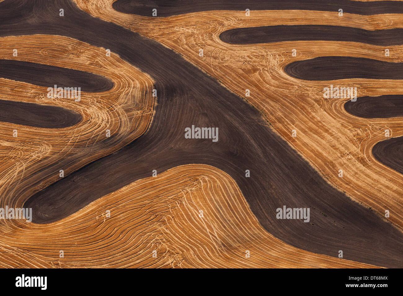Ackerland Landschaft mit Äckern und Furchen in Palouse, Washington, USA. Eine Luftaufnahme mit natürlichen Muster. Stockfoto
