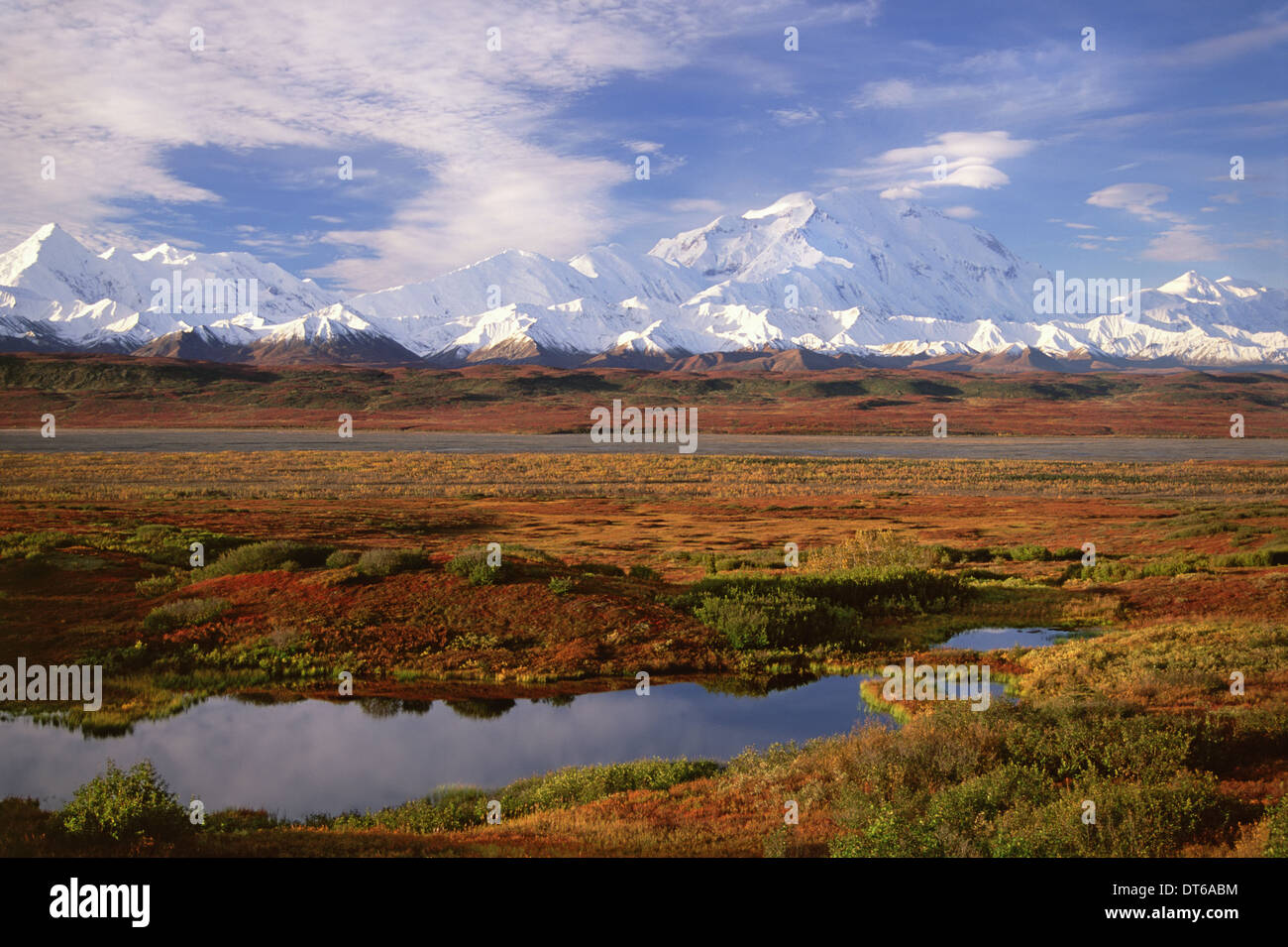 Tundra und Wasserkocher Teich im Denali-Nationalpark, Alaska im Herbst. Mount McKinley im Hintergrund. Stockfoto