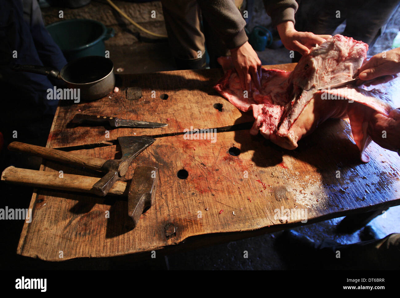 Traditionelle Art und Weise dem Schwein im kleinen Dorf in Lozère Südfrankreich Stockfoto