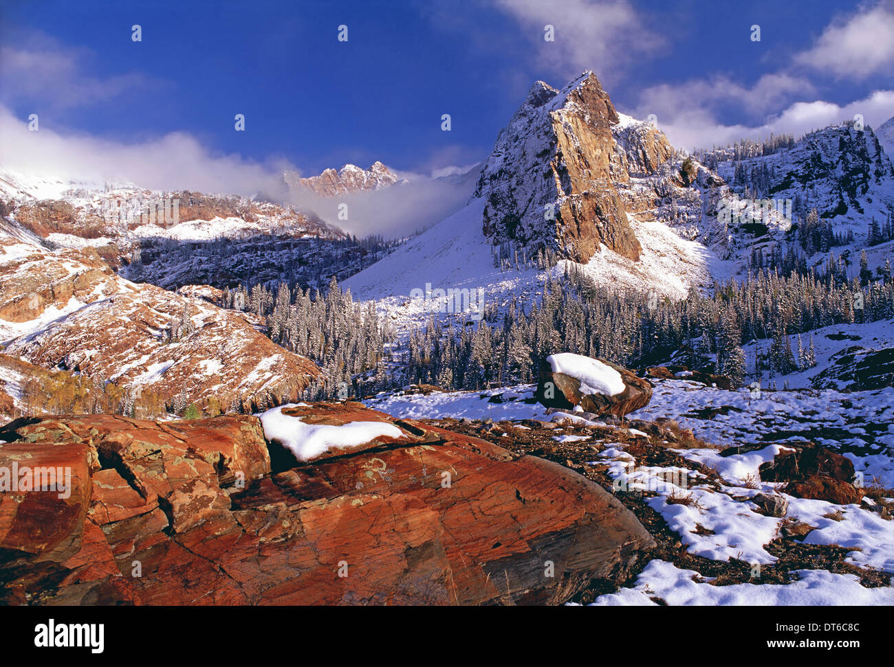 Winter in Cottonwood Canyon Bergen Wasatchkette. Kiefernwälder im Schnee mit niedrigen Wolken. Die Twin Peaks Wilderness Area. Stockfoto