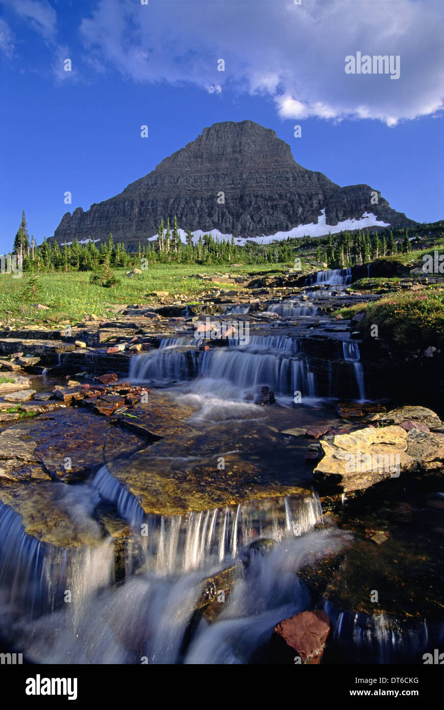 Die Landschaft des Glacier National Park, Mount Reynolds Gipfel und Logan Pass. Wasser fließt über die Felsen. Stockfoto