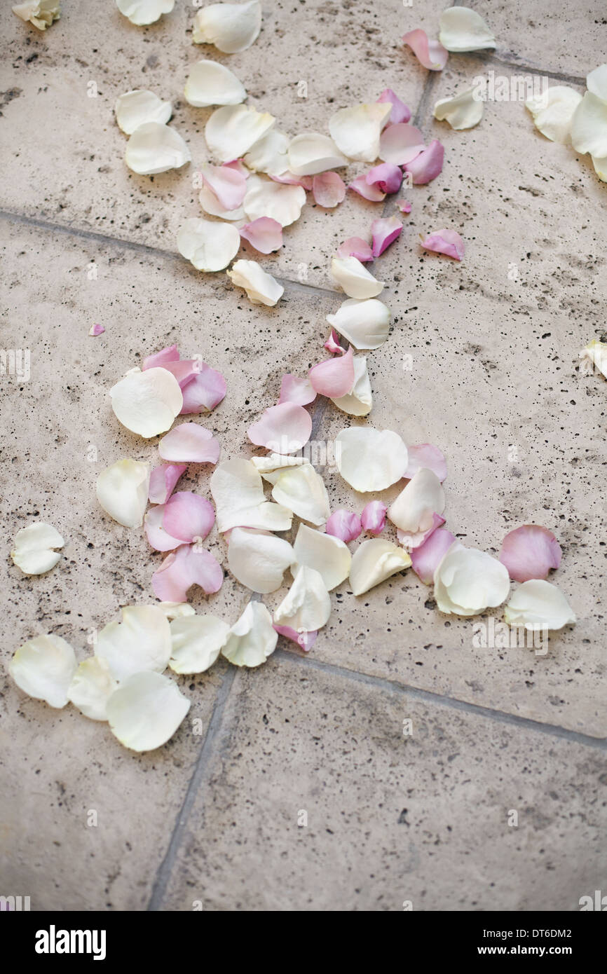Frische Bio-Konfetti, getrocknet natürliche rosa Rosenblüten auf dem Boden. Traditionelle Hochzeit Brauch. Stockfoto