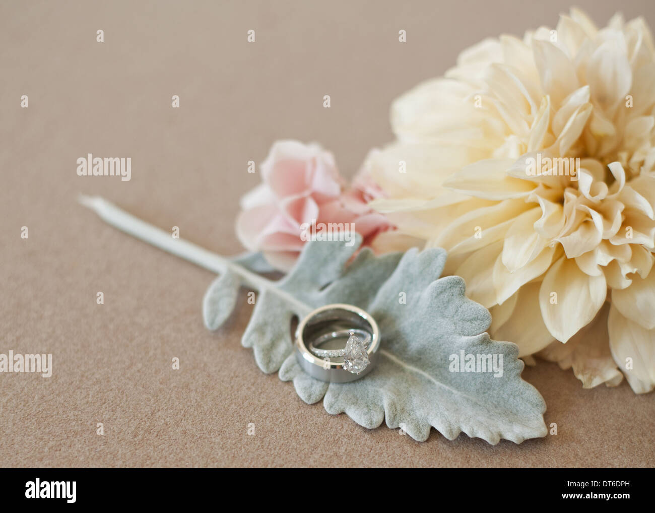 Drei dekorative Accessoires für eine Hochzeit. Blumen und eine Blattform. Ein Fingerring. Stockfoto