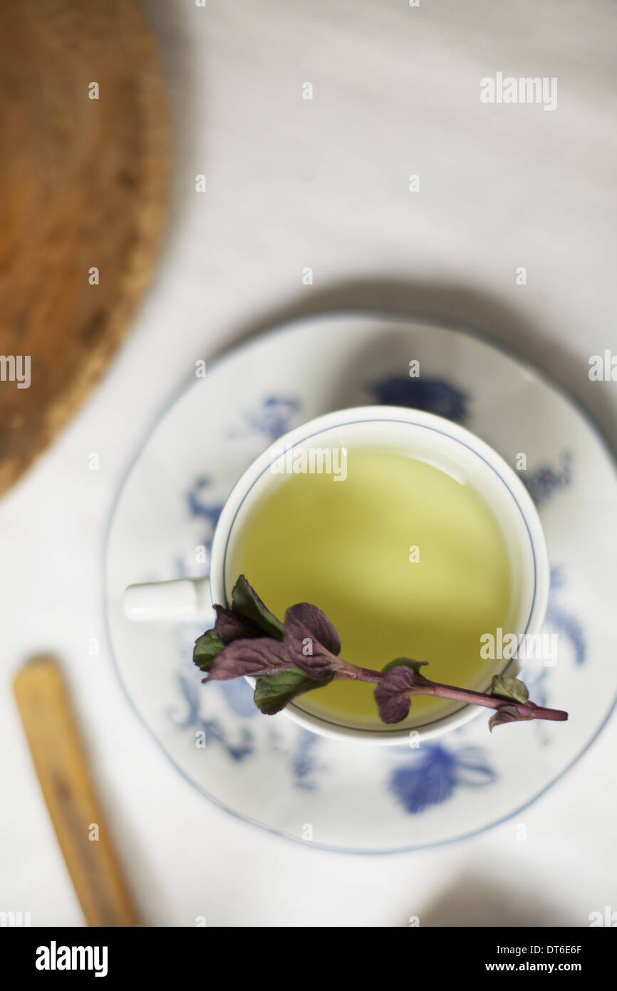Eine Tasse Tee, klare farbige Tee in einer Tasse China mit einem Rosmarinzweig aromatische Minze. Stockfoto