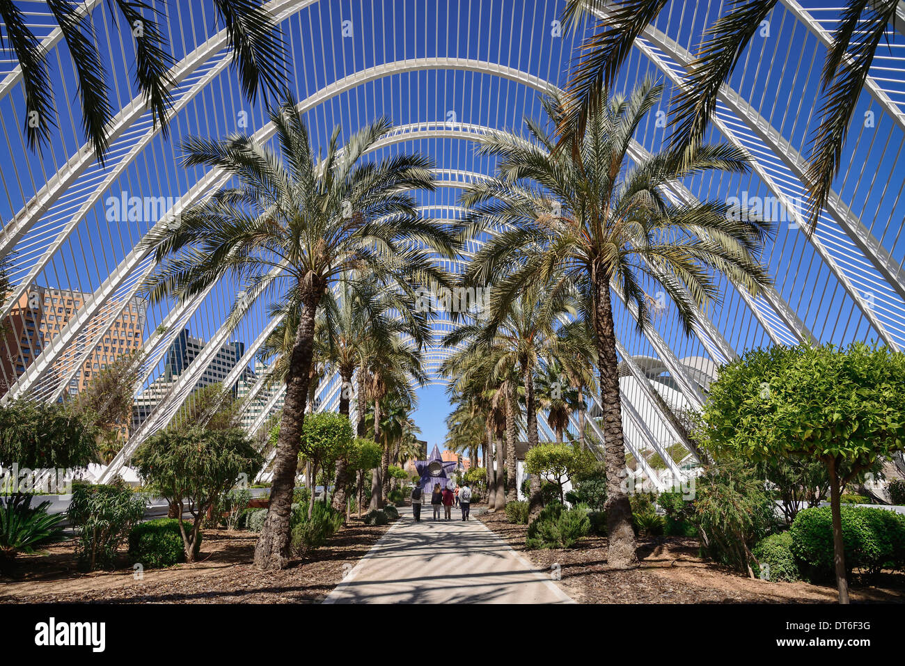 Spanien, Valencia, La Ciudad de las Artes y las Ciencias, die Stadt der Künste und Wissenschaften, innere das Umbracle Skulptur Garten. Stockfoto