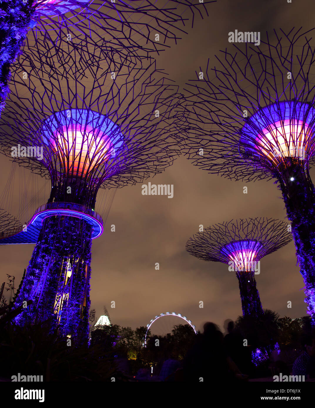 SuperTree Groove in Gardens by the Bay, Singapur Stockfoto