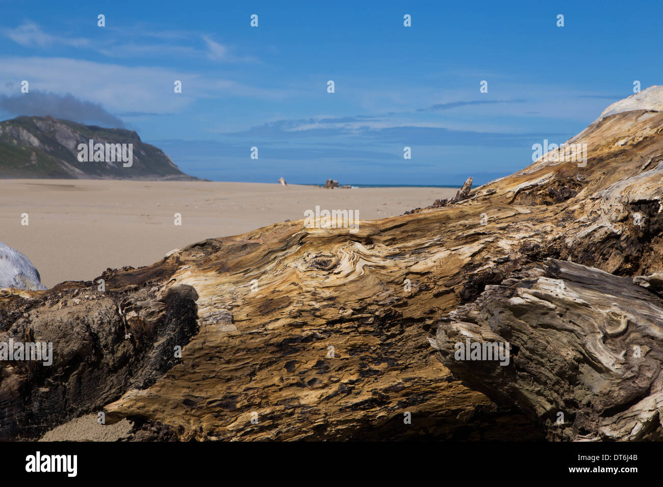 Strand in der Nähe von Herbertville, Manawatu-Wanganui, Neuseeland Stockfoto