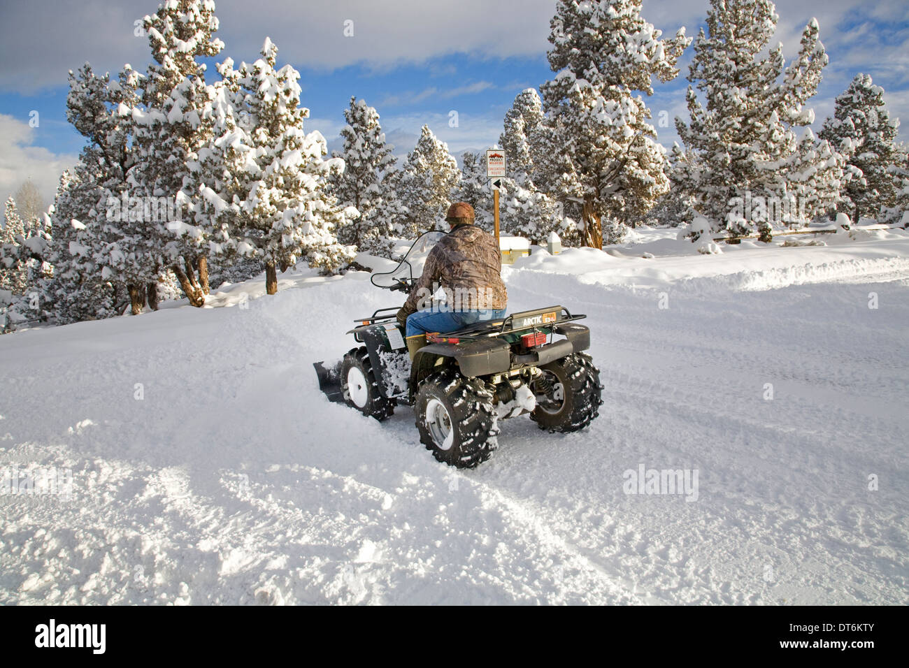 Eine Seniorin Pflüge Schnee mit einem ATV, all-Terrain-Fahrzeug, nach einem großen Schneesturm in Zentral-Oregon. Stockfoto
