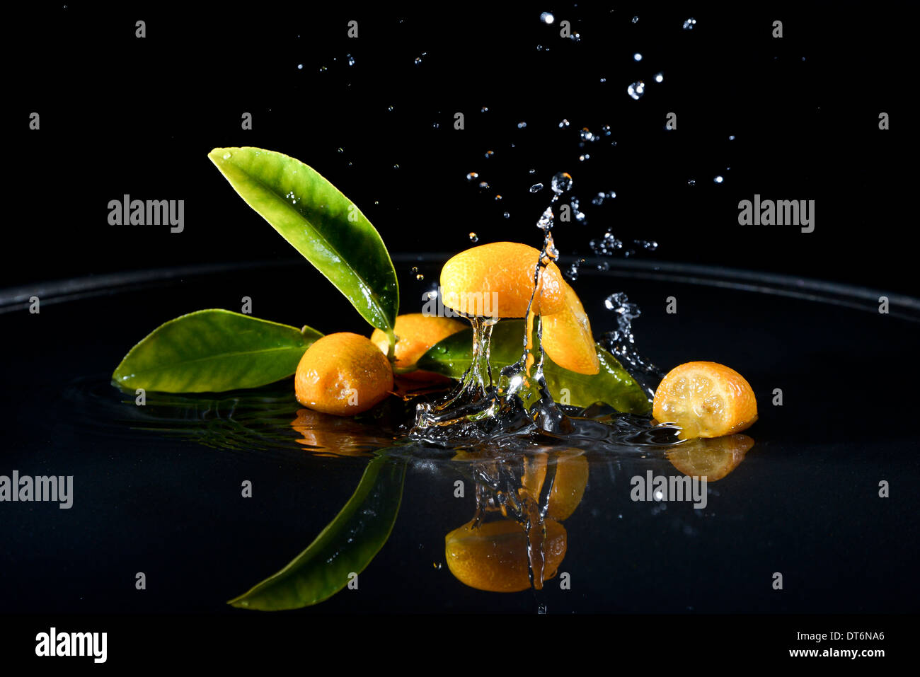 Zitrusfrüchte, die ins Wasser fallen Tropfen Spritzwasser überall. Konzept von Frische und Reinheit. Stockfoto