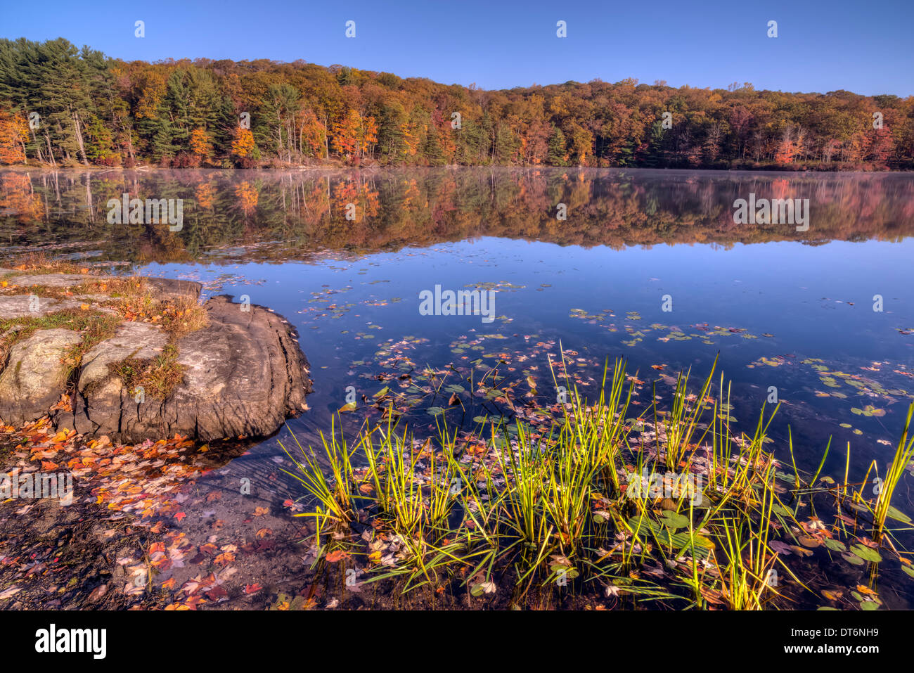 Herbst in Harriman State Park, New York State See Stockfoto