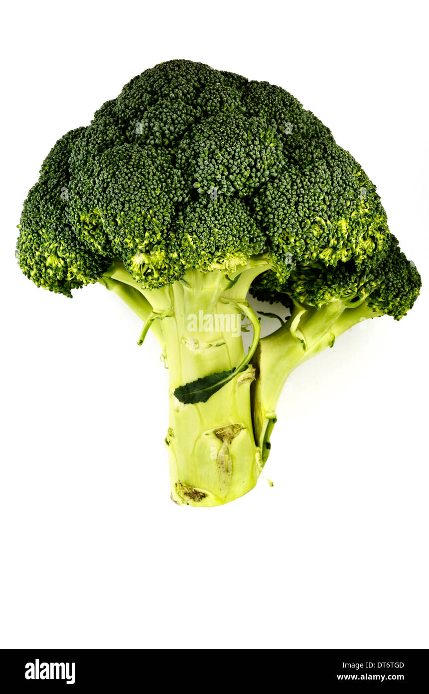 Frischer Kohl Brokkoli auf weißem Hintergrund Stockfoto
