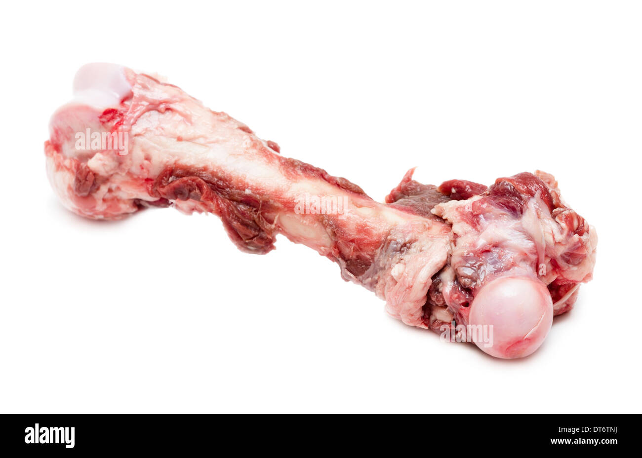 Großer Hundeknochen isoliert auf weißem Hintergrund Stockfoto