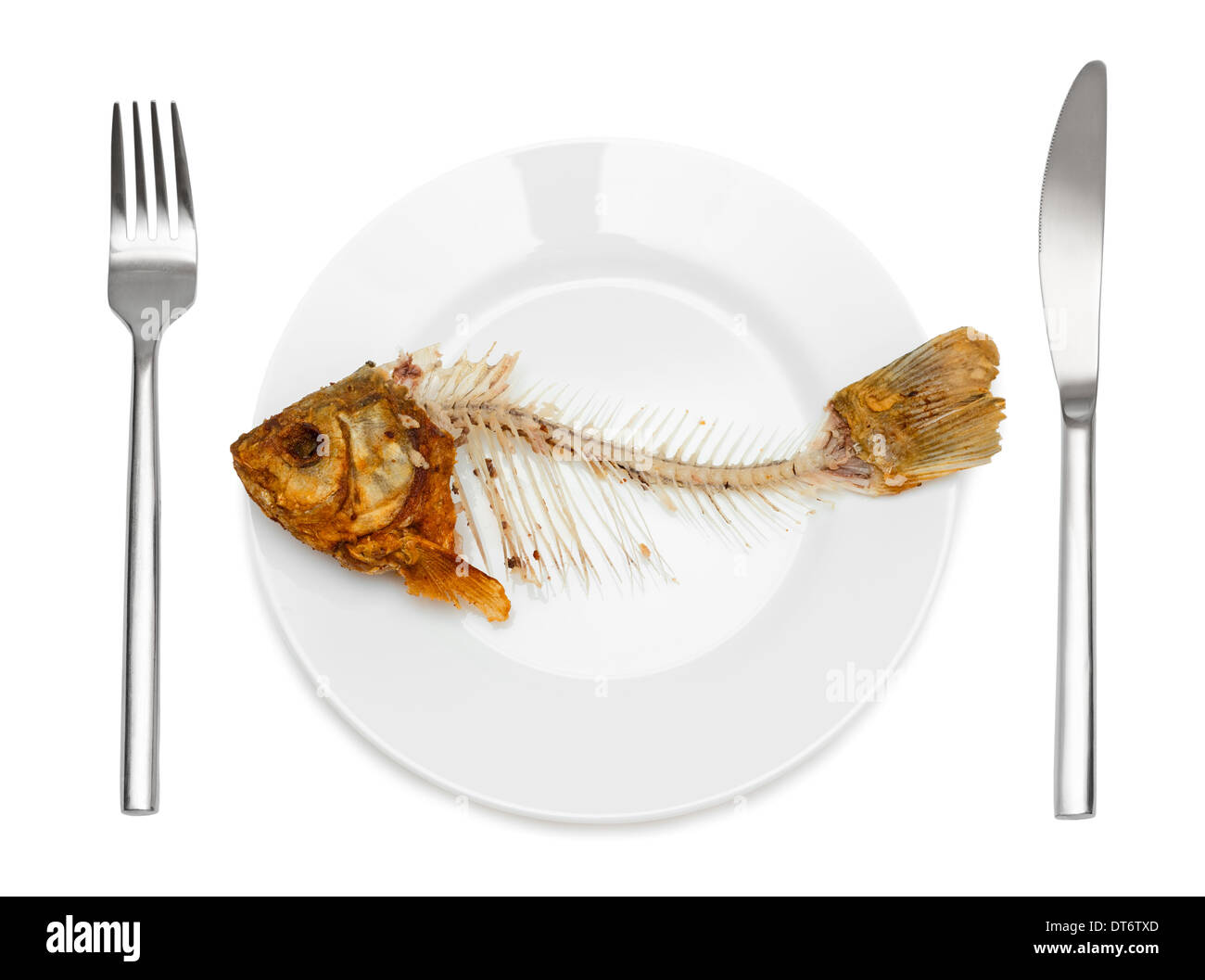 Fisch-Skelett auf dem Teller - Symbol für Nahrungsmittelknappheit und Elend. Isoliert auf weißem Hintergrund. Stockfoto