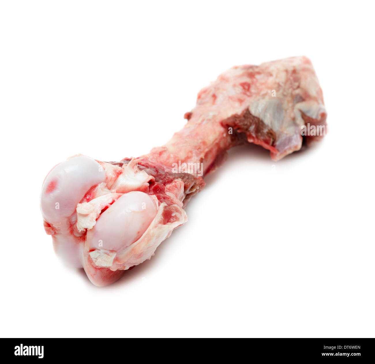 Rohe Hundeknochen isoliert auf weißem Hintergrund Stockfoto