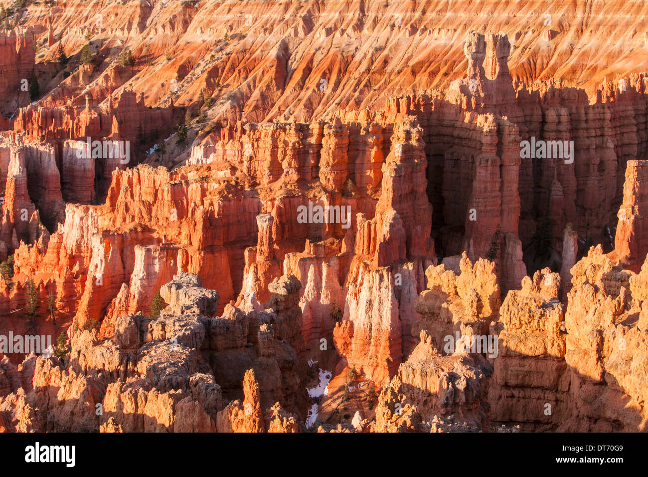 Silent City in Bryce Amphitheater bei Sonnenaufgang, Bryce-Canyon-Nationalpark, Utah. Stockfoto