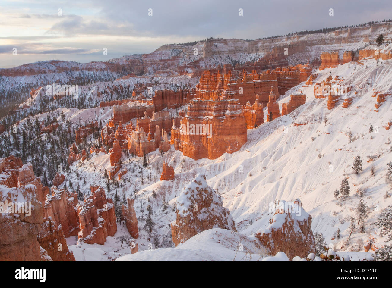 Bryce Amphitheater nach einem Schneesturm, Bryce-Canyon-Nationalpark, Utah. Stockfoto