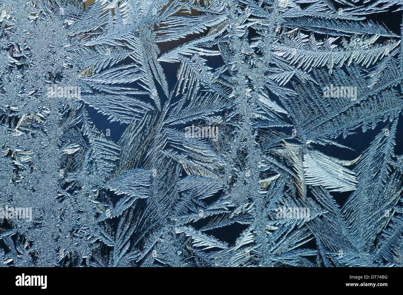 Makro-Bild von Frost Kristalle auf einer Fensterscheibe Stockfoto