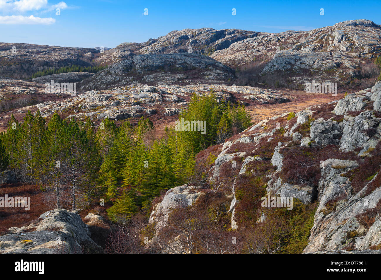 Norwegische Gebirge, Landschaft mit grünen Bäumen auf Felsen Stockfoto