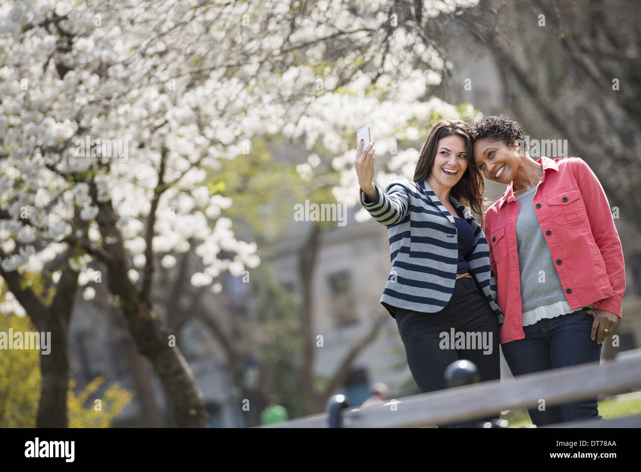 Frühlingszeit. Park in New York City. Eine junge Frau hält sich ein Telefon, ein Foto von sich und eine Begleitperson zu nehmen. Stockfoto