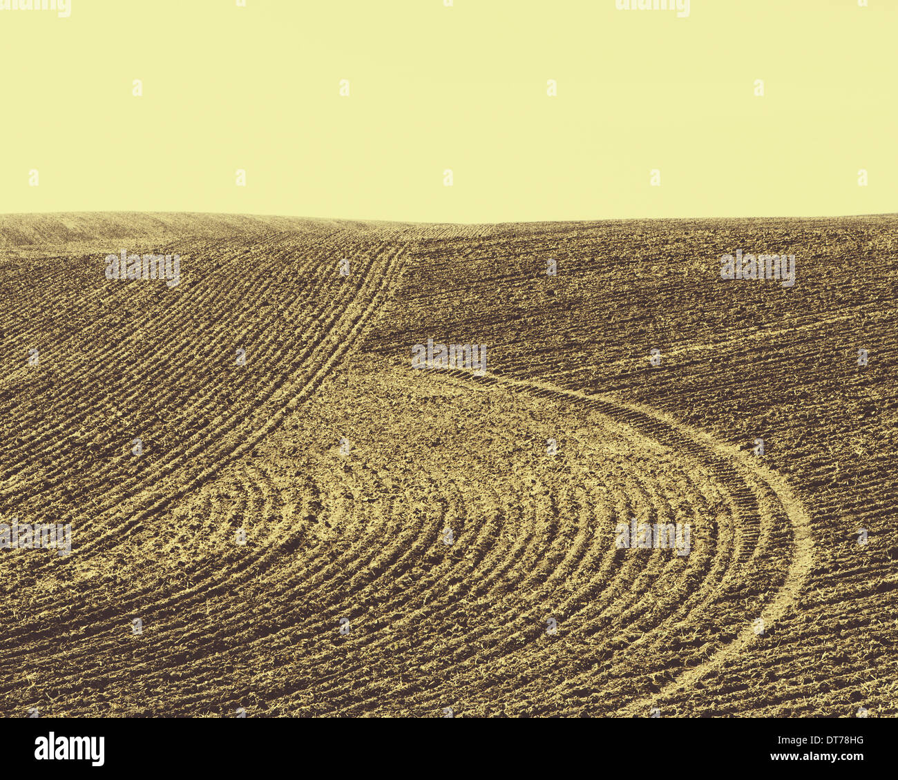 Gepflügte Erde Furchen, Muster auf der Oberfläche des Bodens auf Ackerland in der Nähe von Pullman, Washington, USA Stockfoto