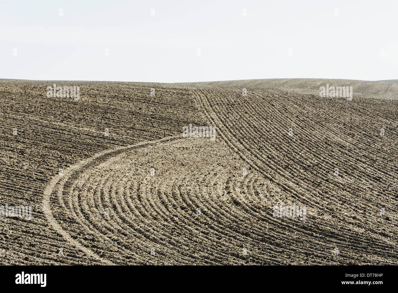 Gepflügte Erde Furchen, Muster auf der Oberfläche des Bodens auf Ackerland in der Nähe von Pullman, Washington, USA Stockfoto