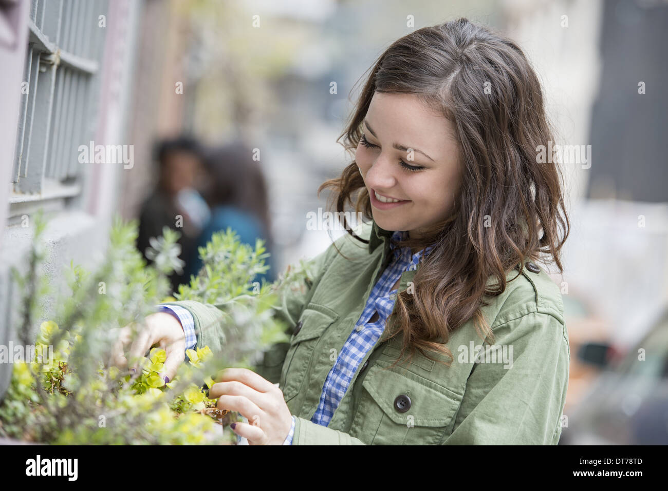 Eine Frau, die eher einer Fenster-Box auf einer Stadtstraße. Frühling Blumen. Stockfoto