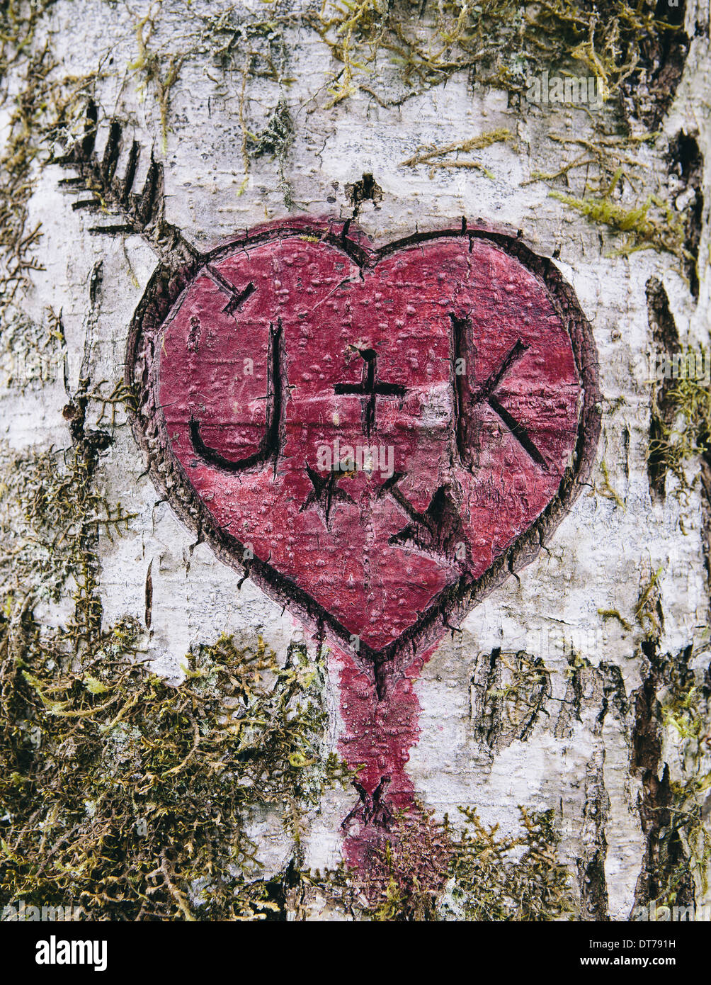 J + K und Herz Symbol geschnitzt in Moos bedeckt Erle Baum, Olympic NP Stockfoto