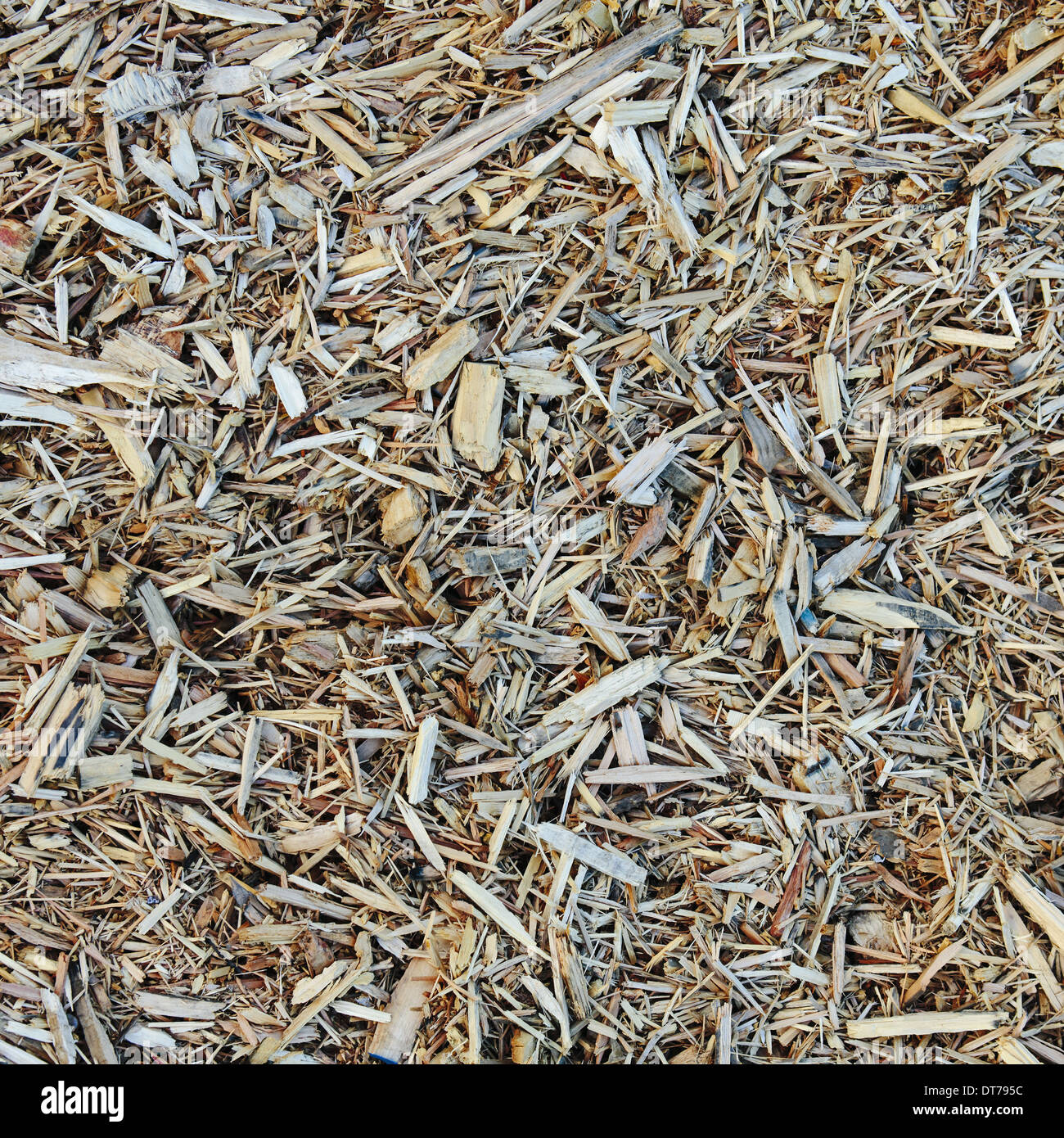 Holz hackschnitzel Fotos und Bildmaterial in hoher Auflösung Alamy