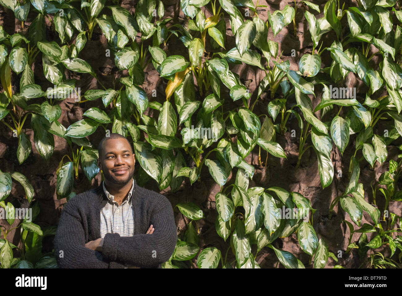 Ein Mann steht mit verschränkten Armen, von einer Mauer bedeckt mit Laub. Stockfoto