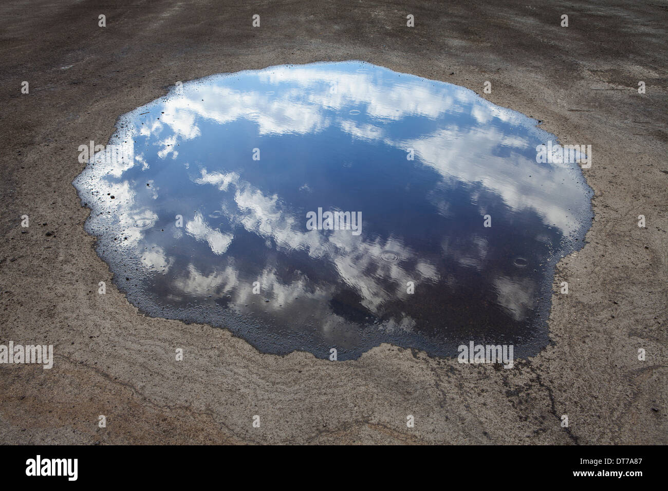 Regentropfen fallen auf eine große Pfütze A Reflexion des Himmels und der Wolken Elko County Nevada USA Stockfoto