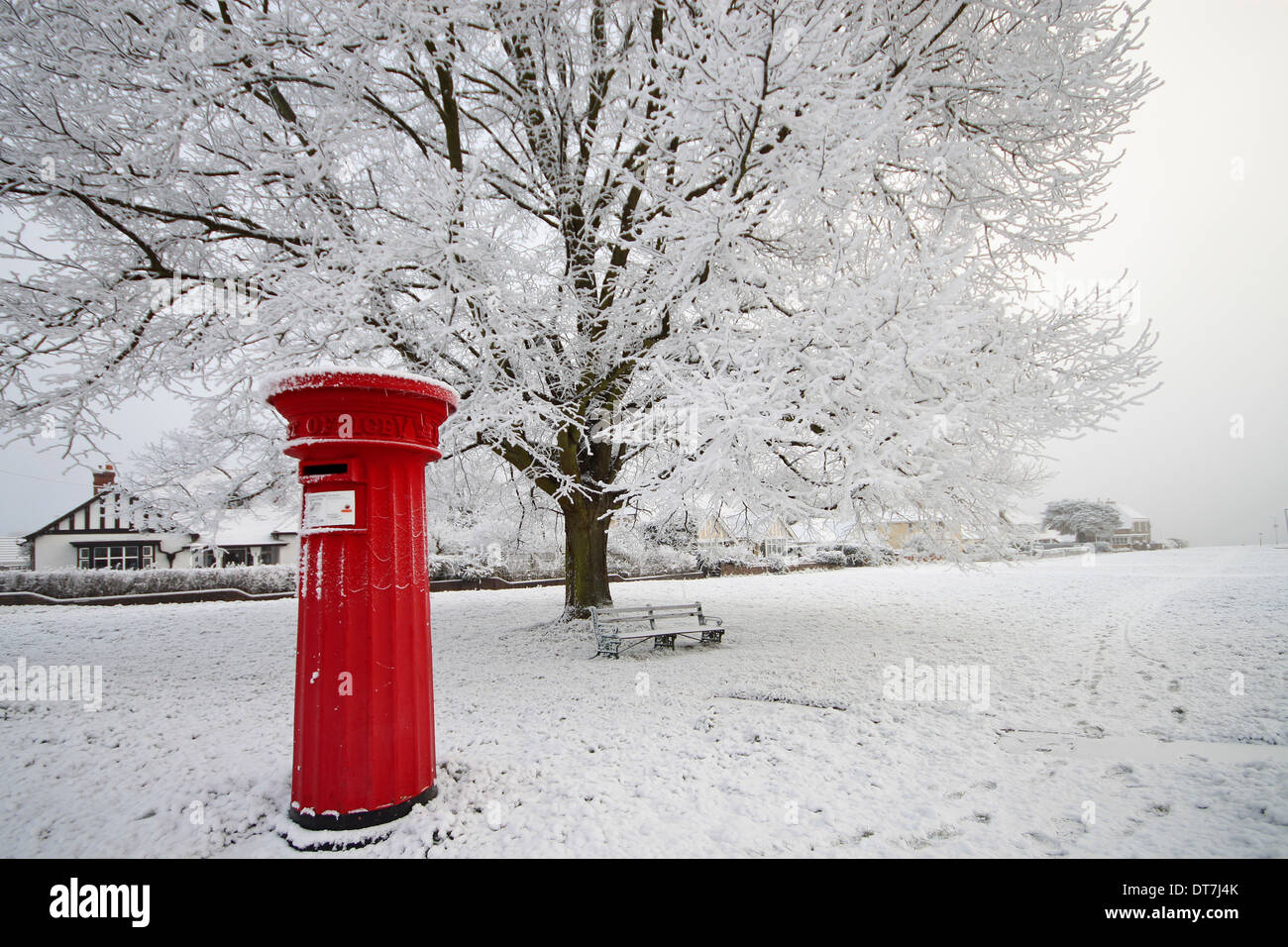 Viktorianischen roten Briefkasten an einem eiskalten Tag mit Bäumen in Raureif bedeckt. Malvern, UK Stockfoto