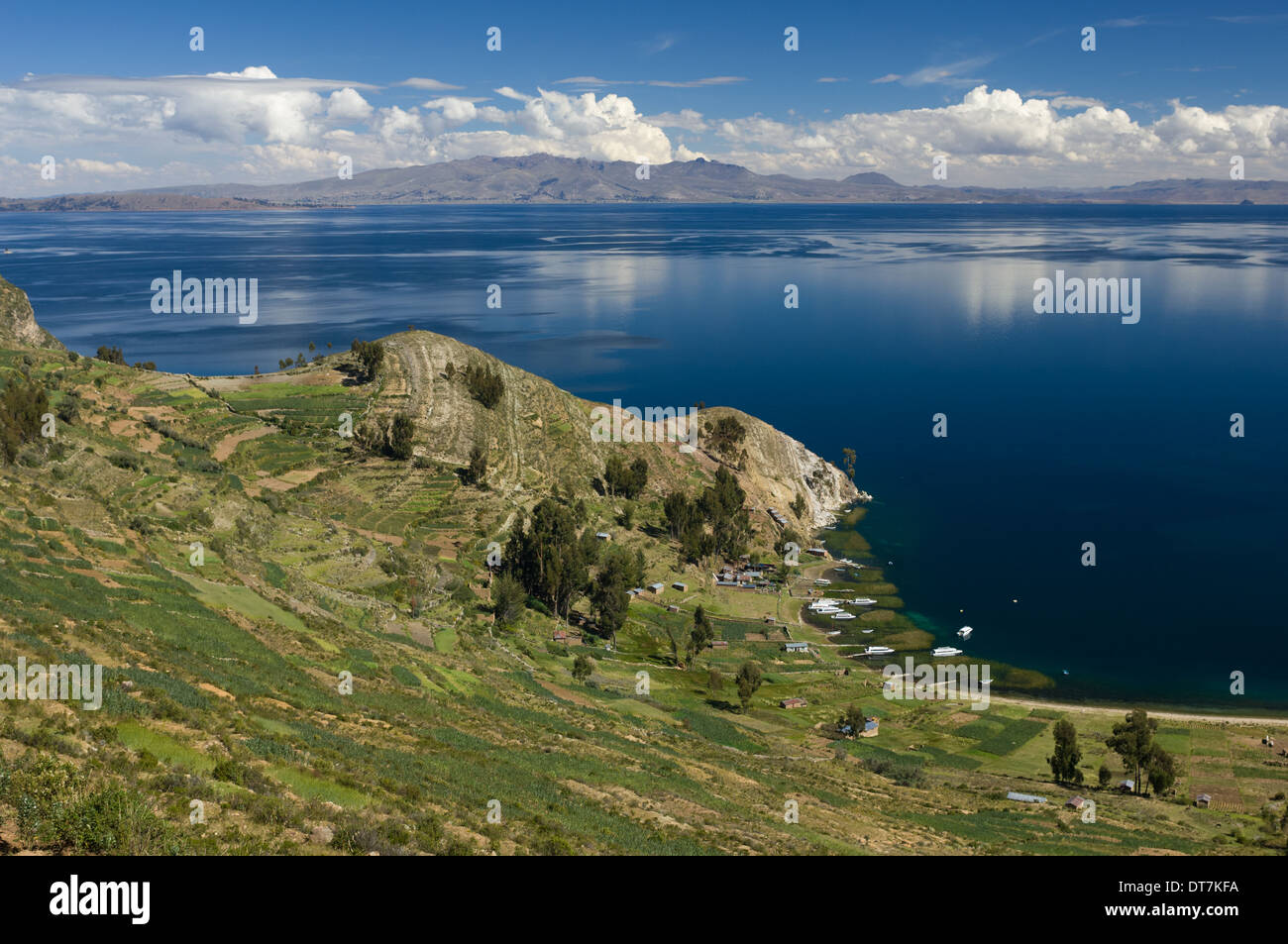 Terrassenfelder führen hinunter zu einer kleinen Bucht auf der Isla del Sol, Titicaca-See, in der Nähe von Copacabana, Bolivien Stockfoto