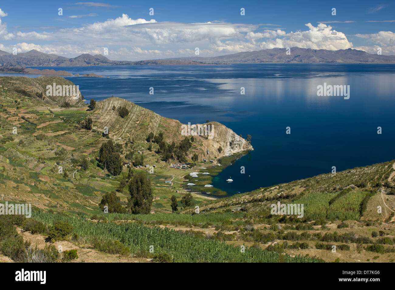 Terrassenfelder führen hinunter zu einer kleinen Bucht auf der Isla del Sol, Titicaca-See, in der Nähe von Copacabana, Bolivien Stockfoto