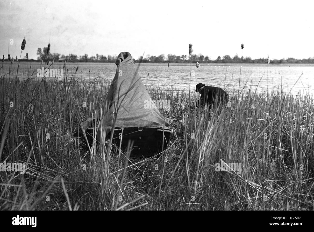 Verstecken in einem Boot zum Fotografieren ein Nest Blässhühner, Hickling breiten Norfolk Ostern 1933 gebaut. Foto von Eric Hosking. Stockfoto