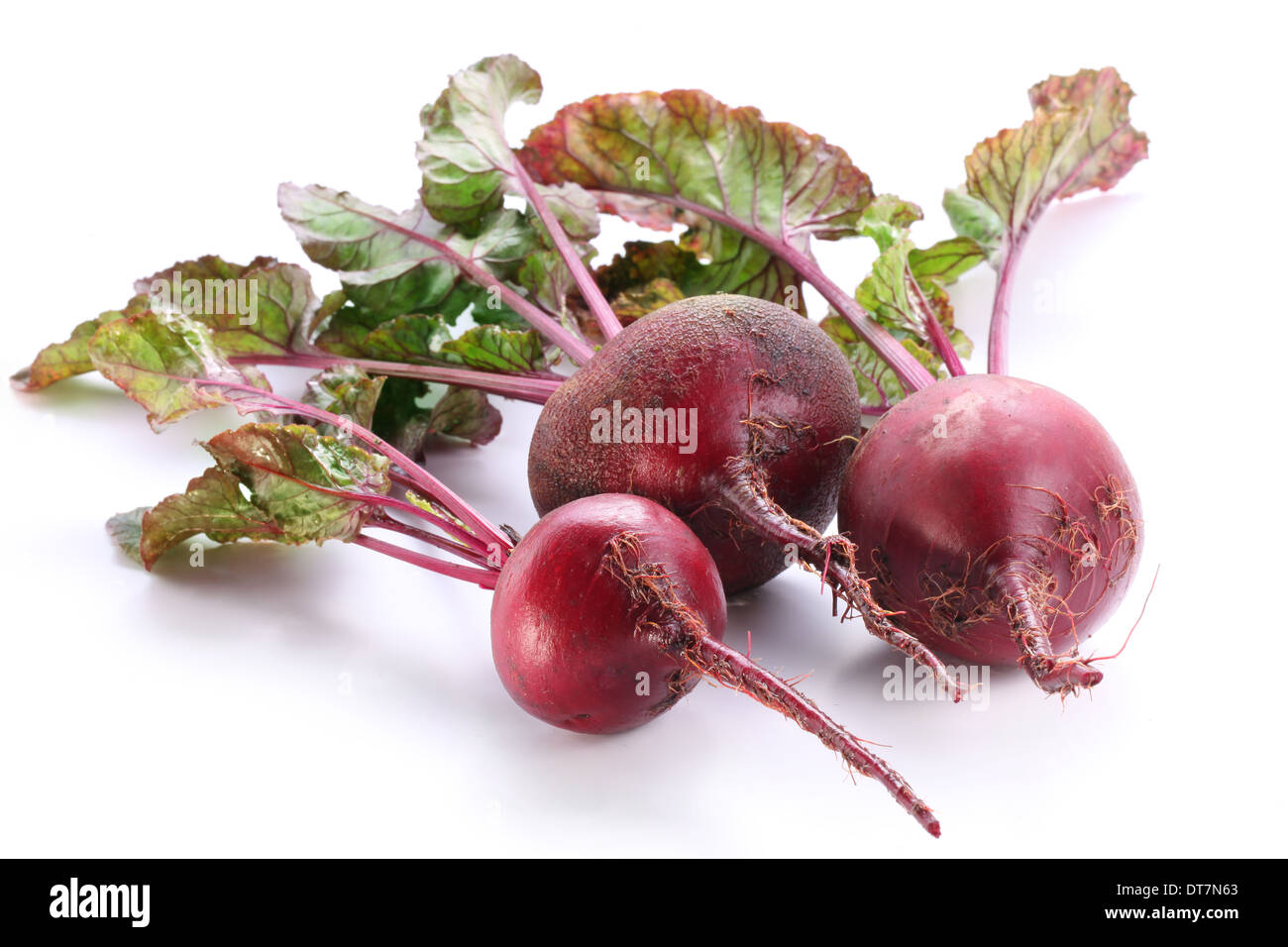 Rüben Wurzeln isoliert auf weißem Hintergrund. Stockfoto