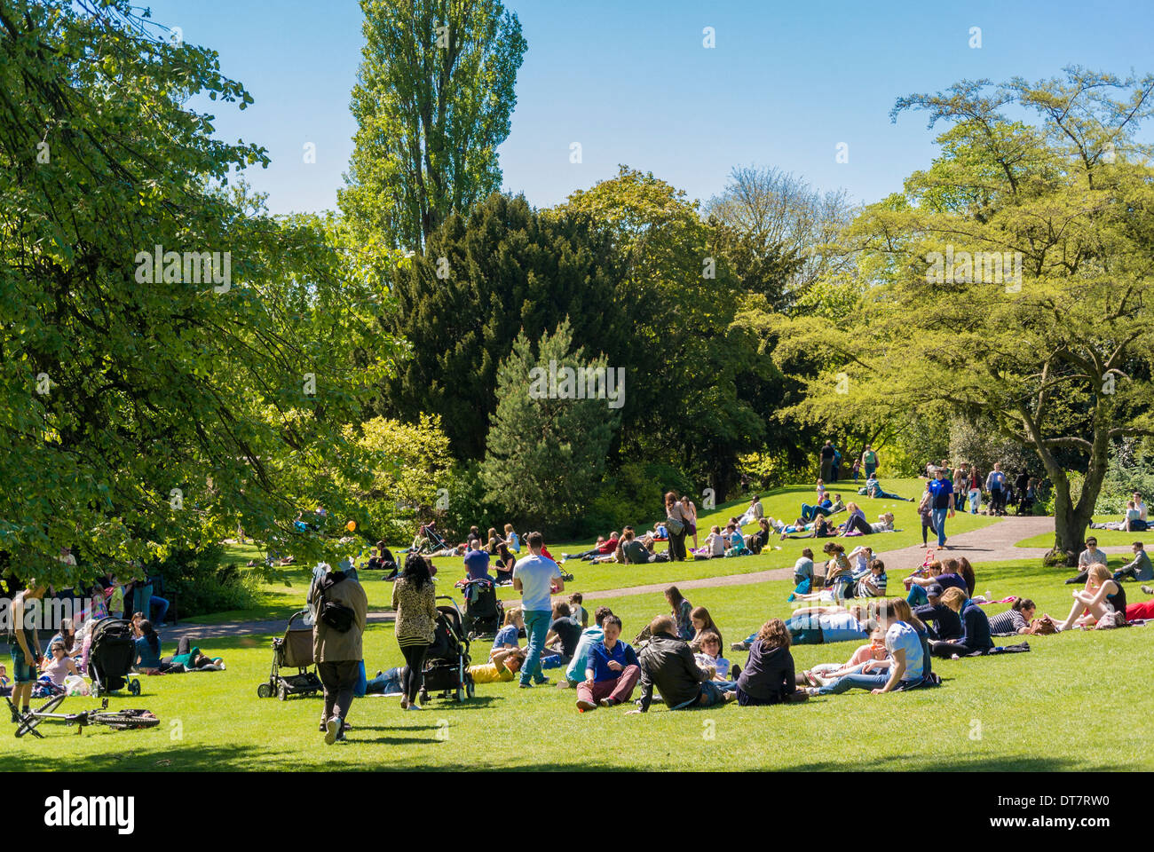 Touristen in den Museum Gardens an einem heißen, sonnigen Tag, York Stockfoto