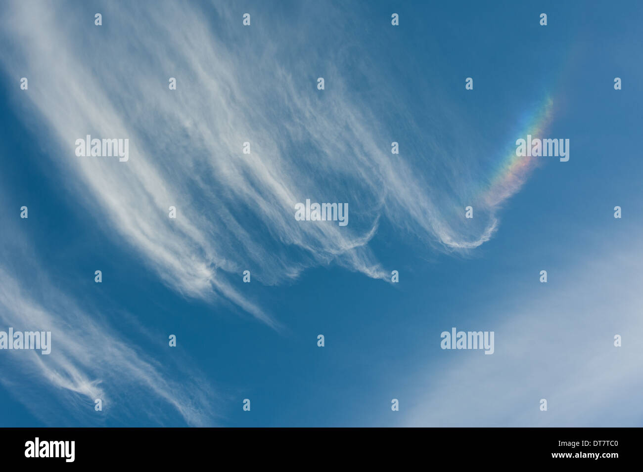 Diese prismatische Rute eine Regenbogen Wolke (oder "Feuer Regenbogen") verursacht durch Sonnenlicht und Eiskristalle. Stockfoto