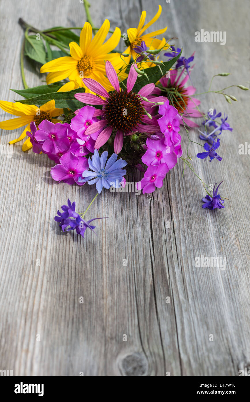 Kultivierte Blumenstrauß auf einem hölzernen Hintergrund Stockfoto