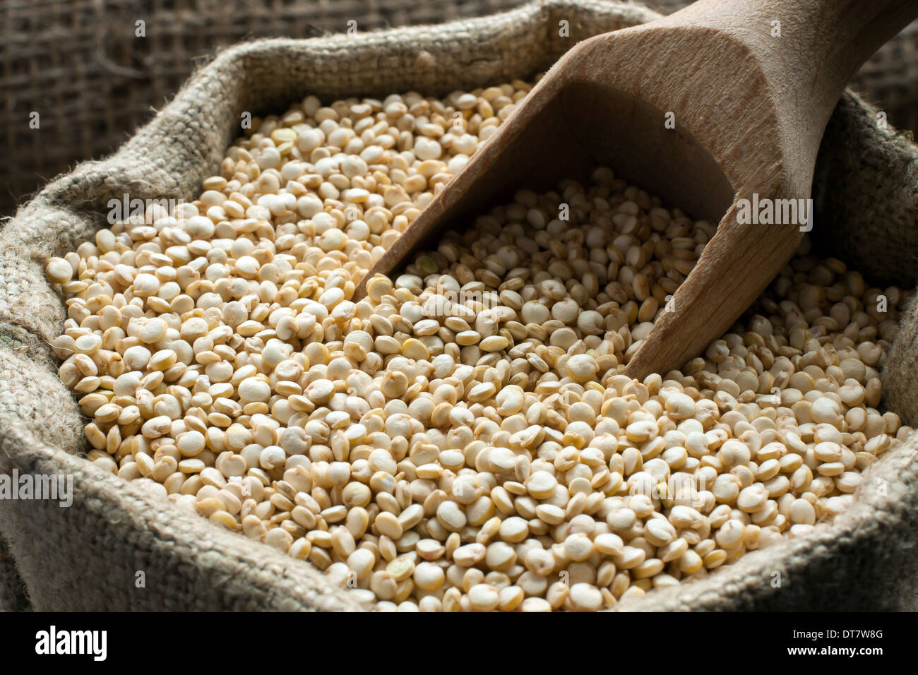 Gesunden Quinoa - Gluten frei Samen in kleinen sack Stockfoto