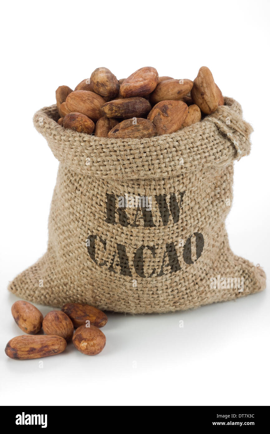 Kakaobohnen in Jute-Tasche Stockfoto