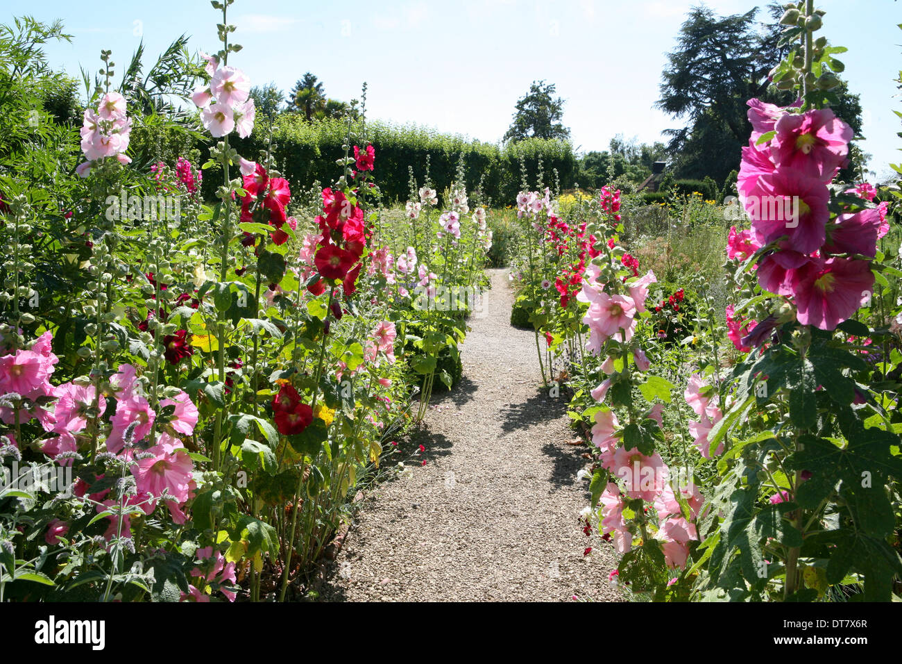Blumen Garten Kiesweg Stockfotos & Blumen Garten Kiesweg Bilder - Alamy