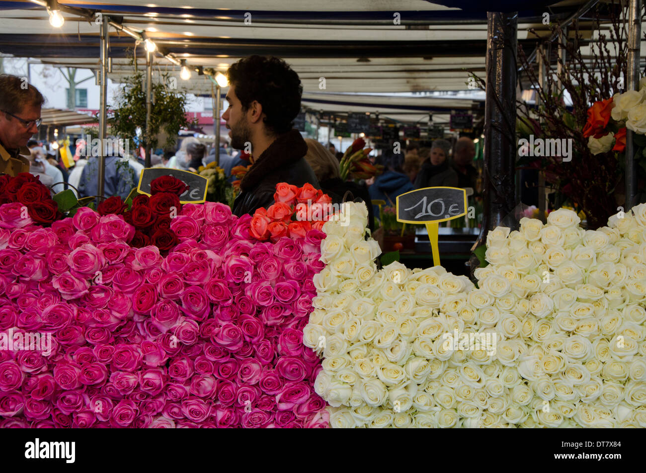 Blume-Stall mit Rosen auf dem Display auf dem Markt am Ort d'aligre, einen lebhaften Markt auf dem Platz Aligre. Paris, Frankreich. Stockfoto
