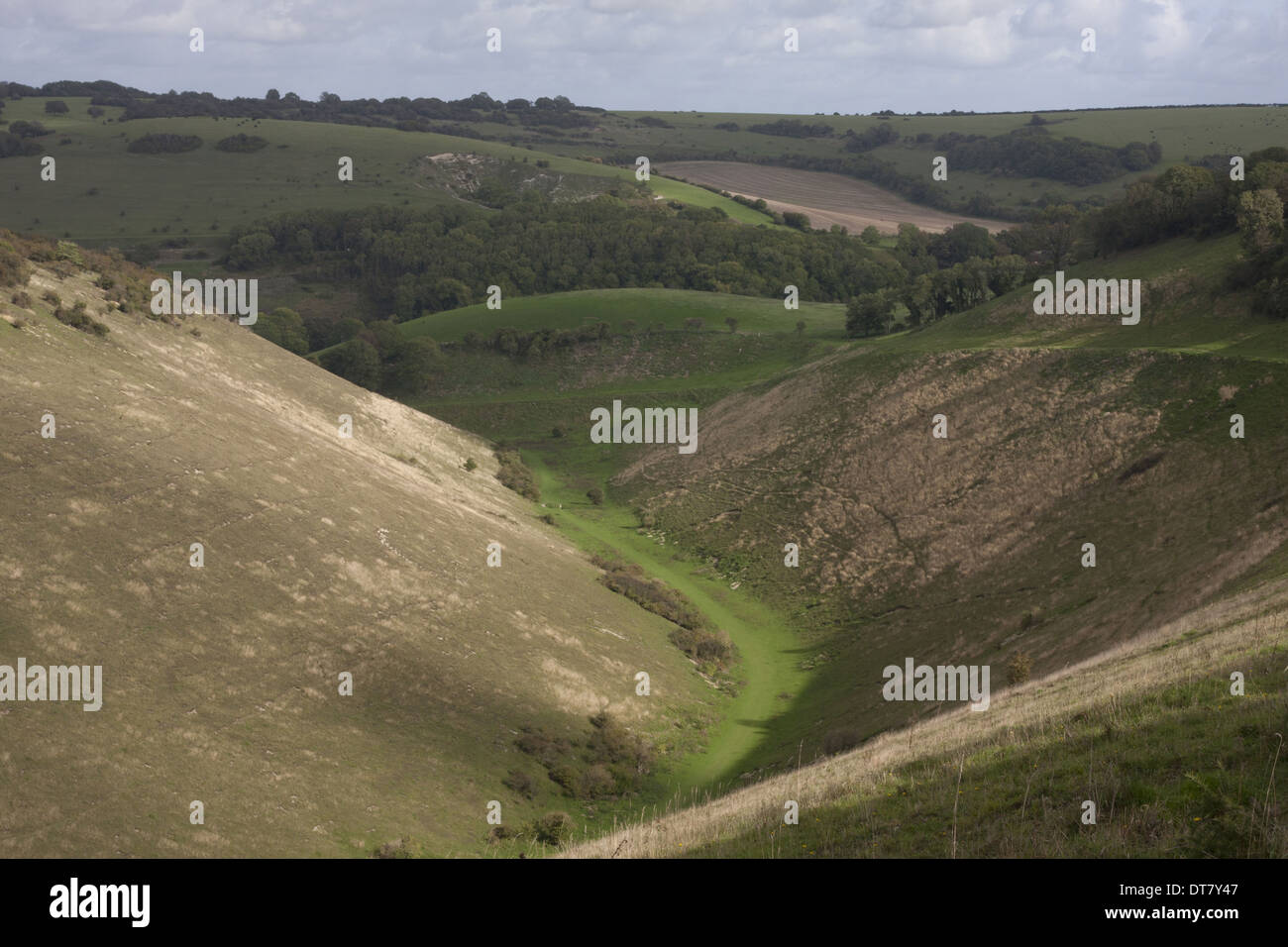 Blick auf v-förmigen trockene Tal Lebensraum, Devil es Dyke, South Downs, West Sussex, England, Oktober Stockfoto