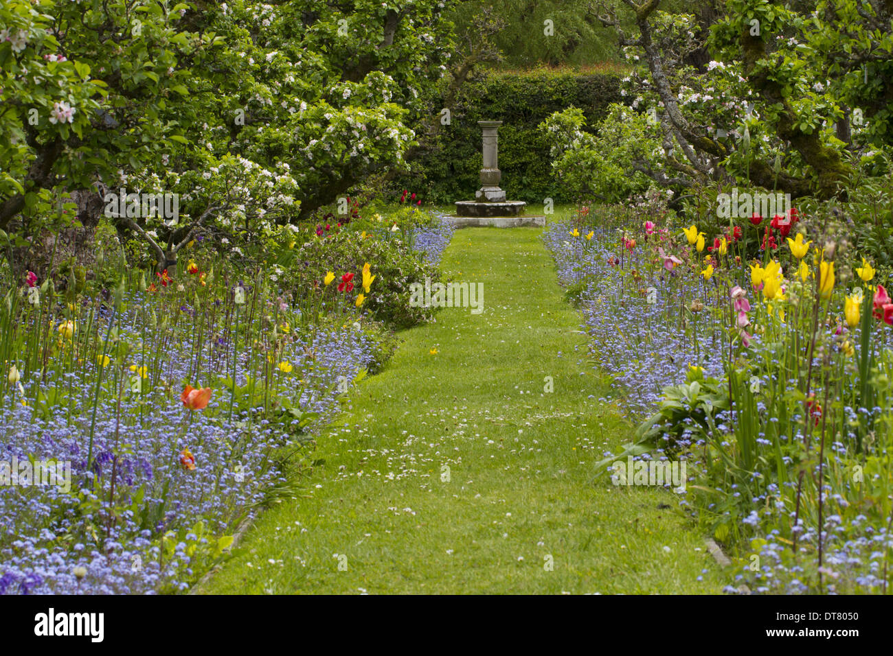 Blick auf Garten mit Apfelbäumen und bepflanzten Blumenrabatten neben Rasen Weg, Herefordshire, England, Mai Stockfoto