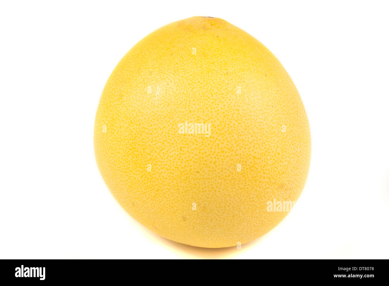 Einzelne Pomelo Frucht isoliert auf weißem Hintergrund Stockfoto