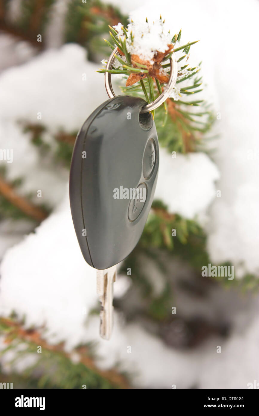 Autoschlüssel hängen im Baum im winter Stockfoto