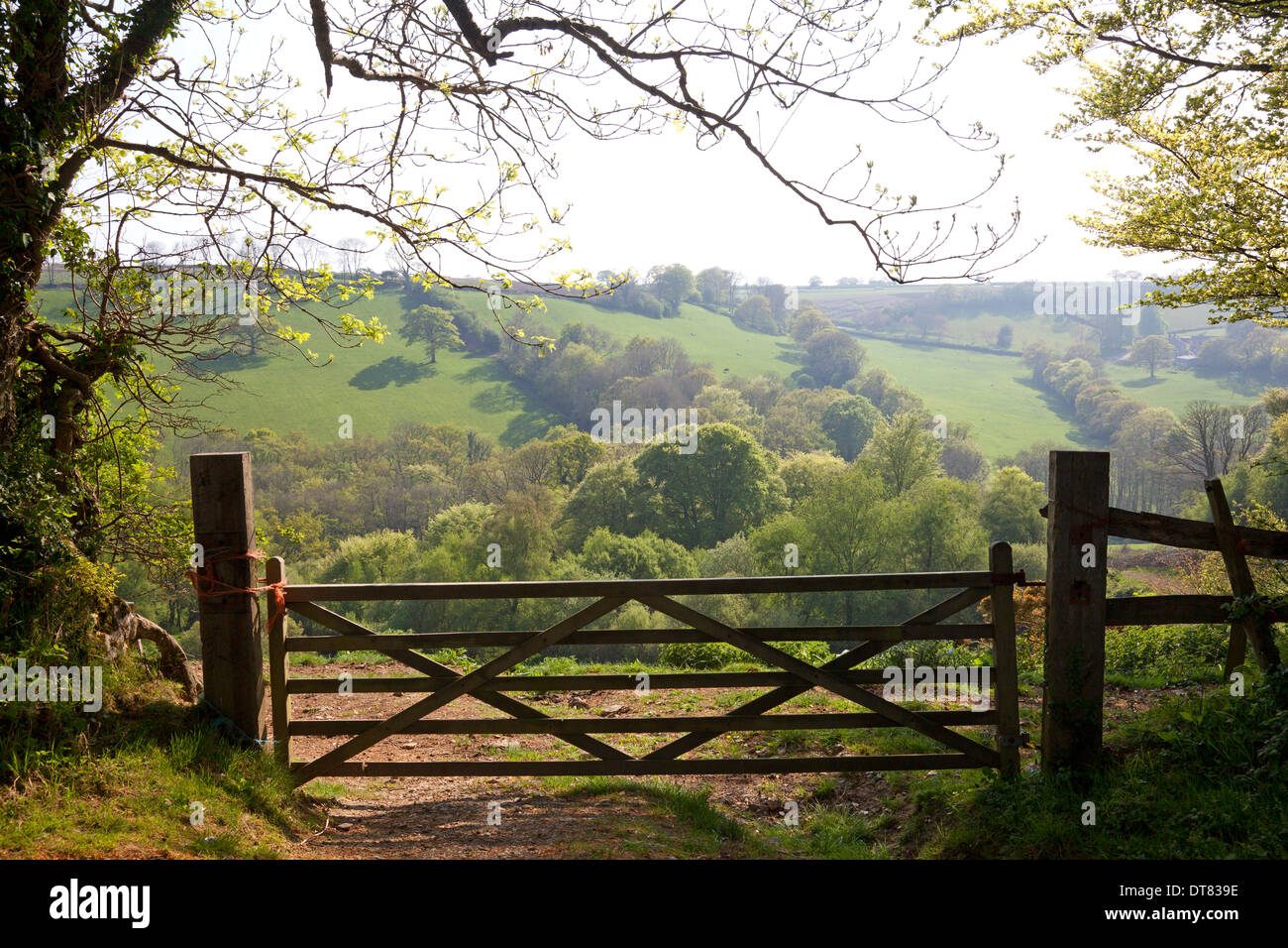 Hof mit ländlichen Landschaft jenseits, Southleigh, Devon Stockfoto